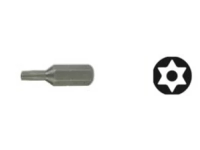 TorxTamper